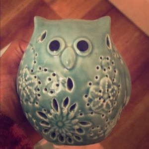 Glow in the dark bathroom owl